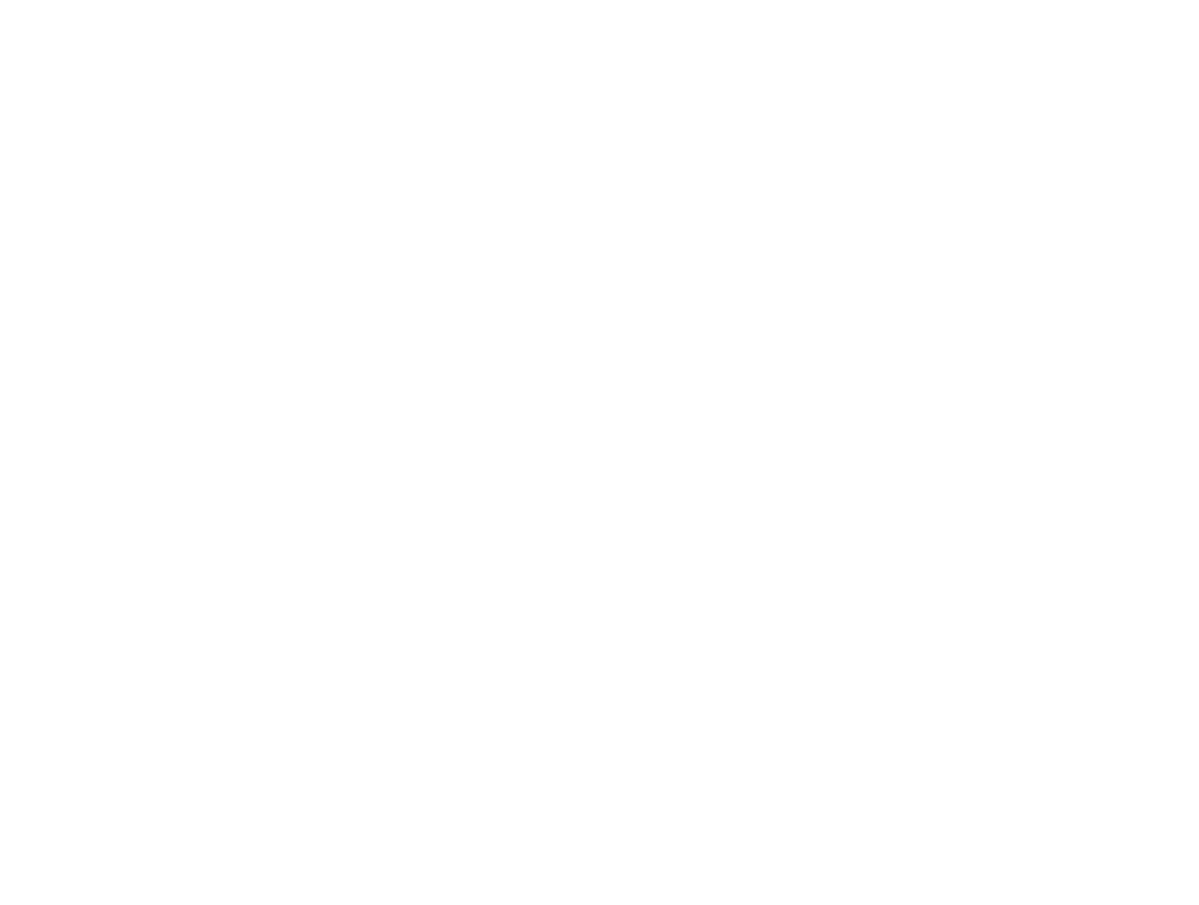 Logo da Bull Petcare